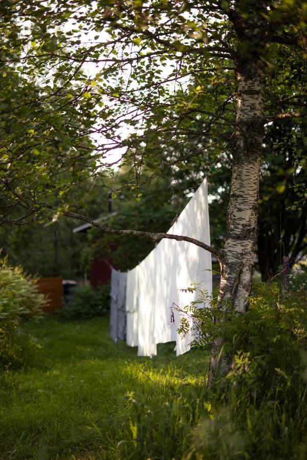 Kolin Mattila B&B Koli  Luaran gambar