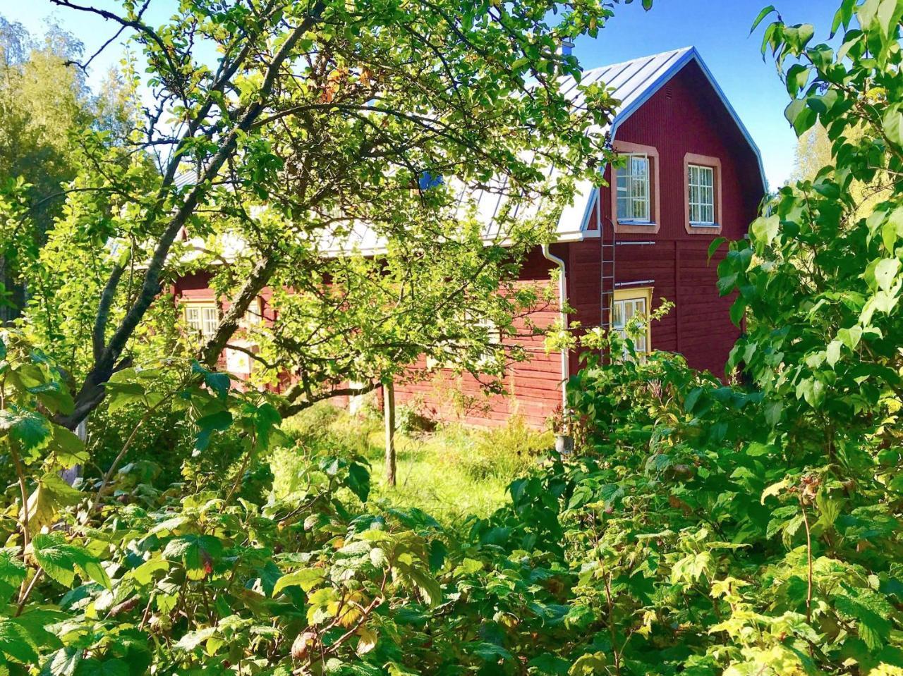 Kolin Mattila B&B Koli  Luaran gambar