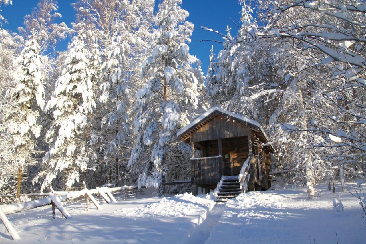 Kolin Mattila B&B Koli  Luaran gambar